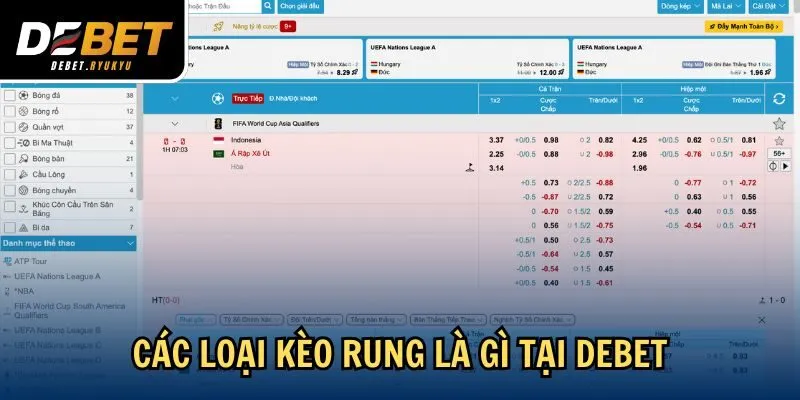 Các loại kèo rung là gì tại Debet