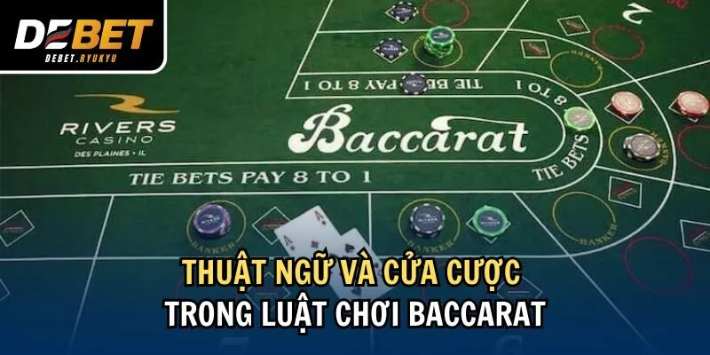 Thuật ngữ và cửa cược trong luật chơi Baccarat